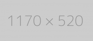 Making this the first true generator on the internet